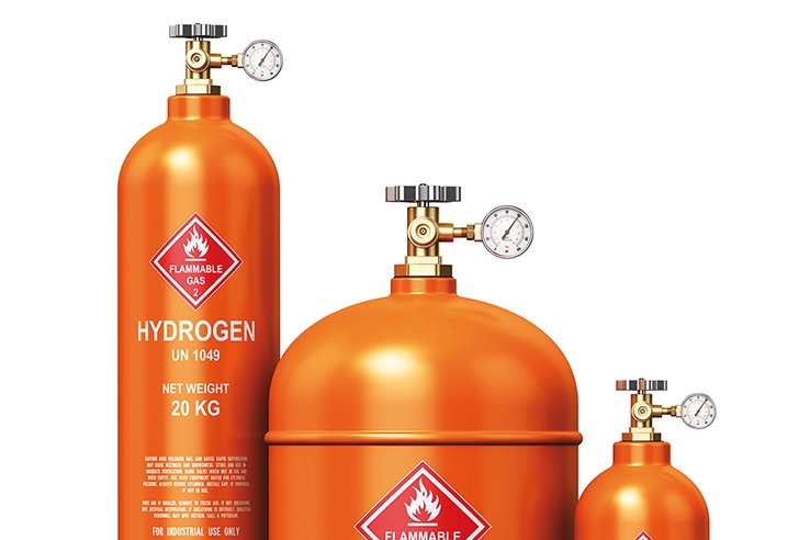 Cover von Bio Magazin Ein teures, knappes Gut