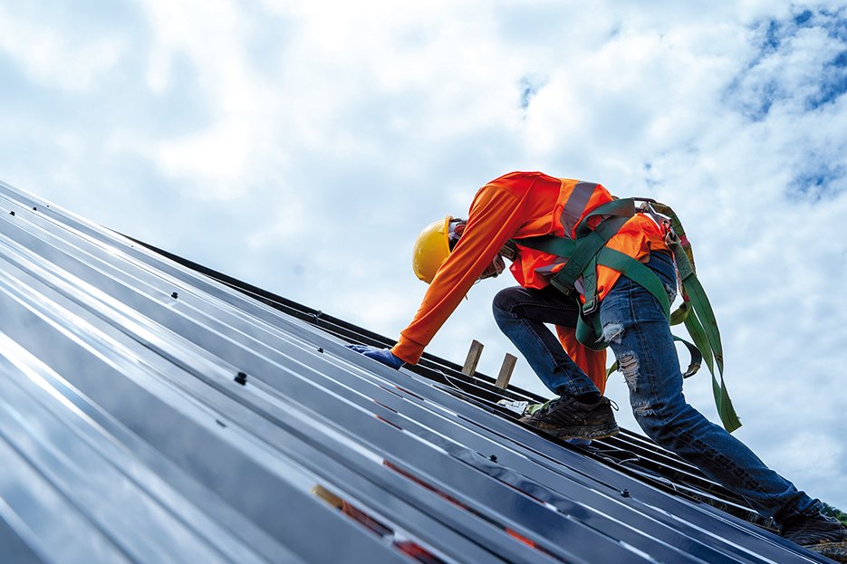 Cover von Bio Magazin Mitarbeiter gesucht!