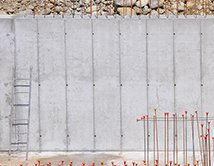 Cover von Bio Magazin Die Mauer muss weg!